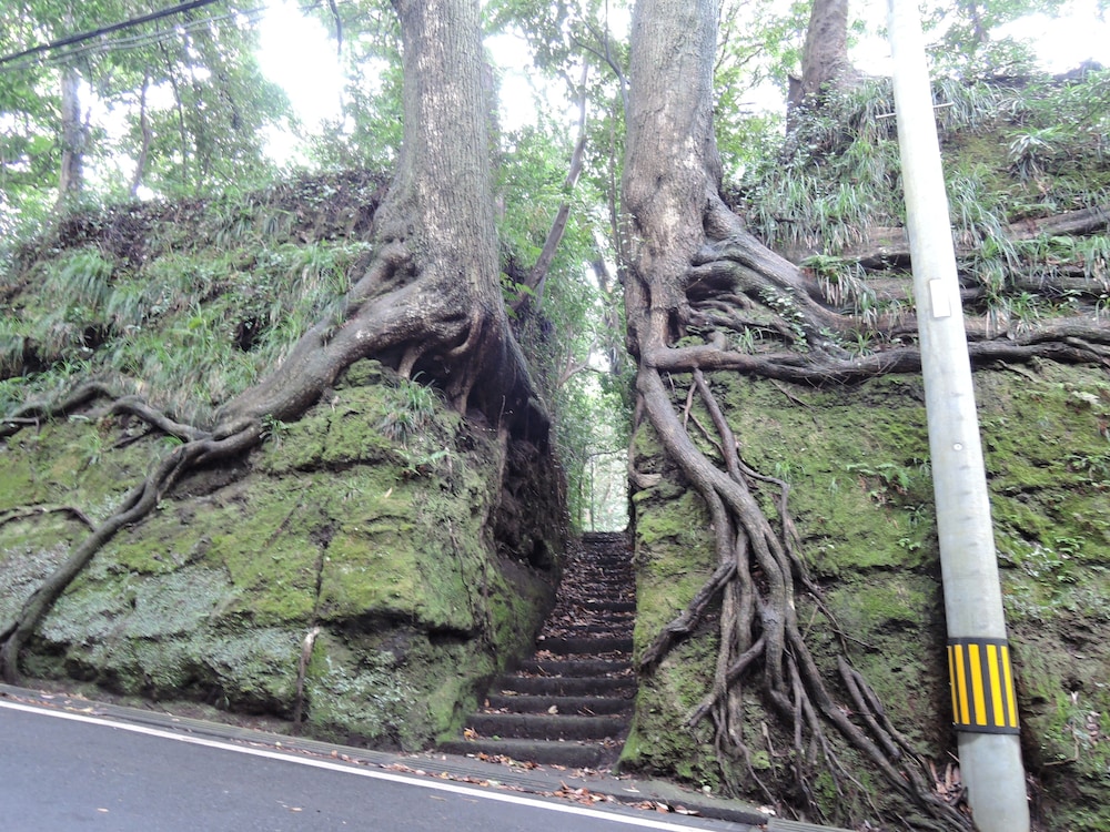 ブランブルー和 東京