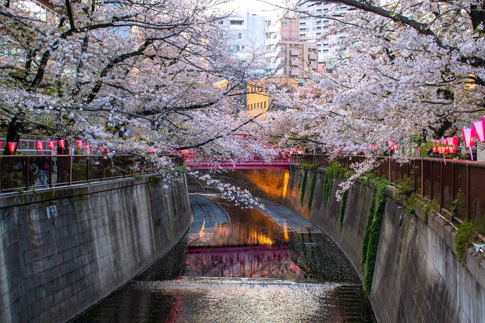 東急ステイ目黒・祐天寺 東京