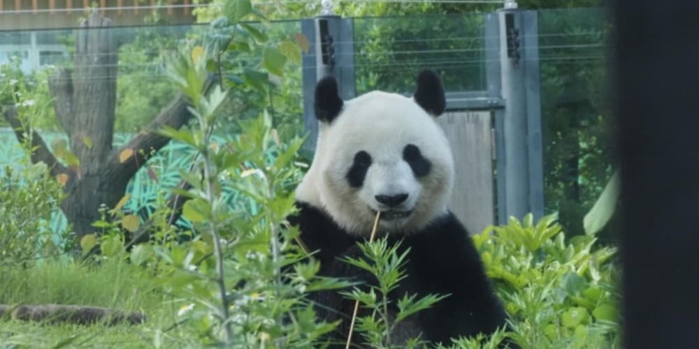 東急ステイ門前仲町 東京