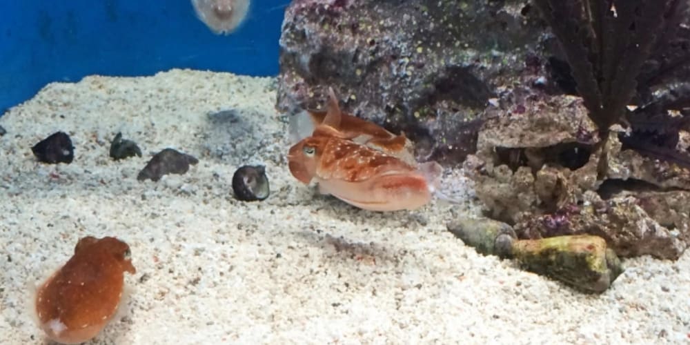 東急ステイ門前仲町 東京