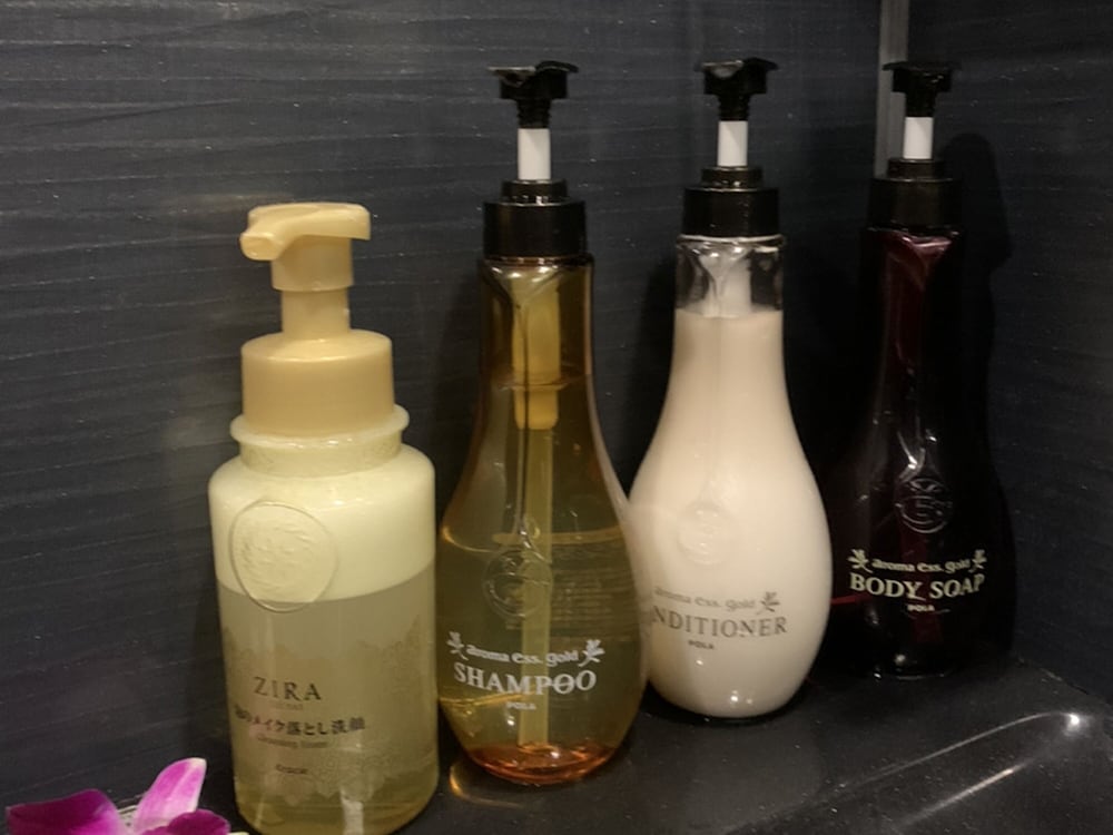 ホテルバリアンリゾート東新宿店 東京