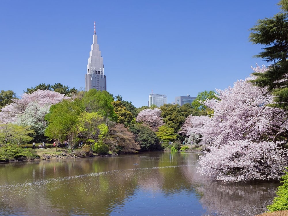ホテルバリアンリゾート東新宿店 東京