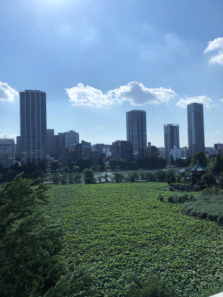 きぬやホテル 東京