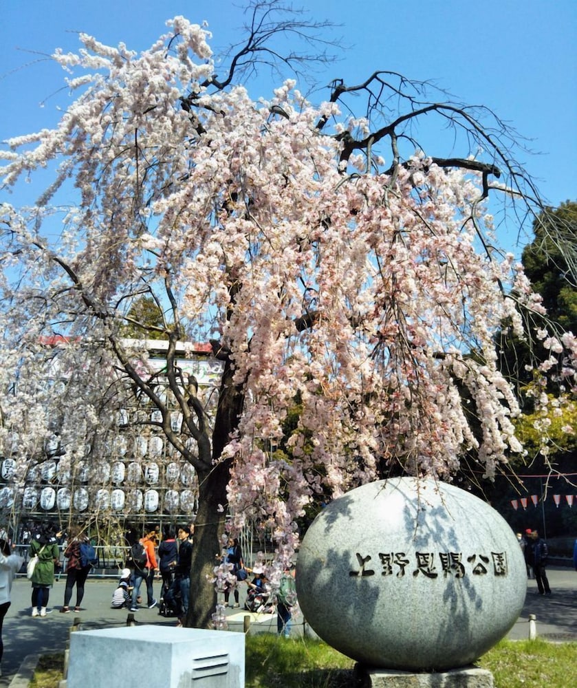 ホテルブリリオ浅草橋 東京
