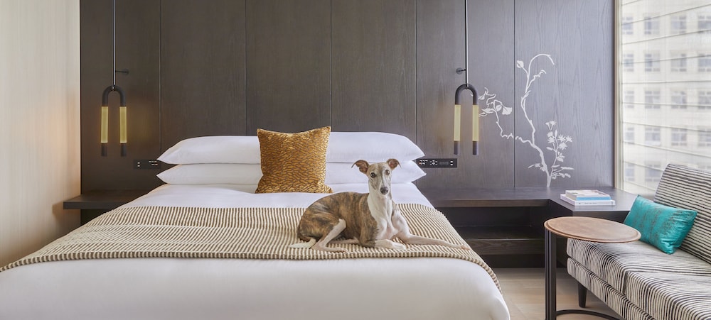 キンプトン新宿東京 バイ IHG 東京