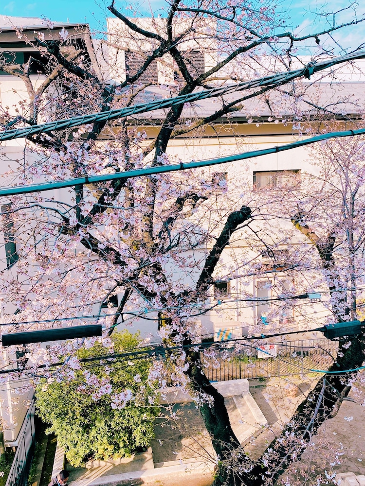 KAIKE SENDAGAYA 東京
