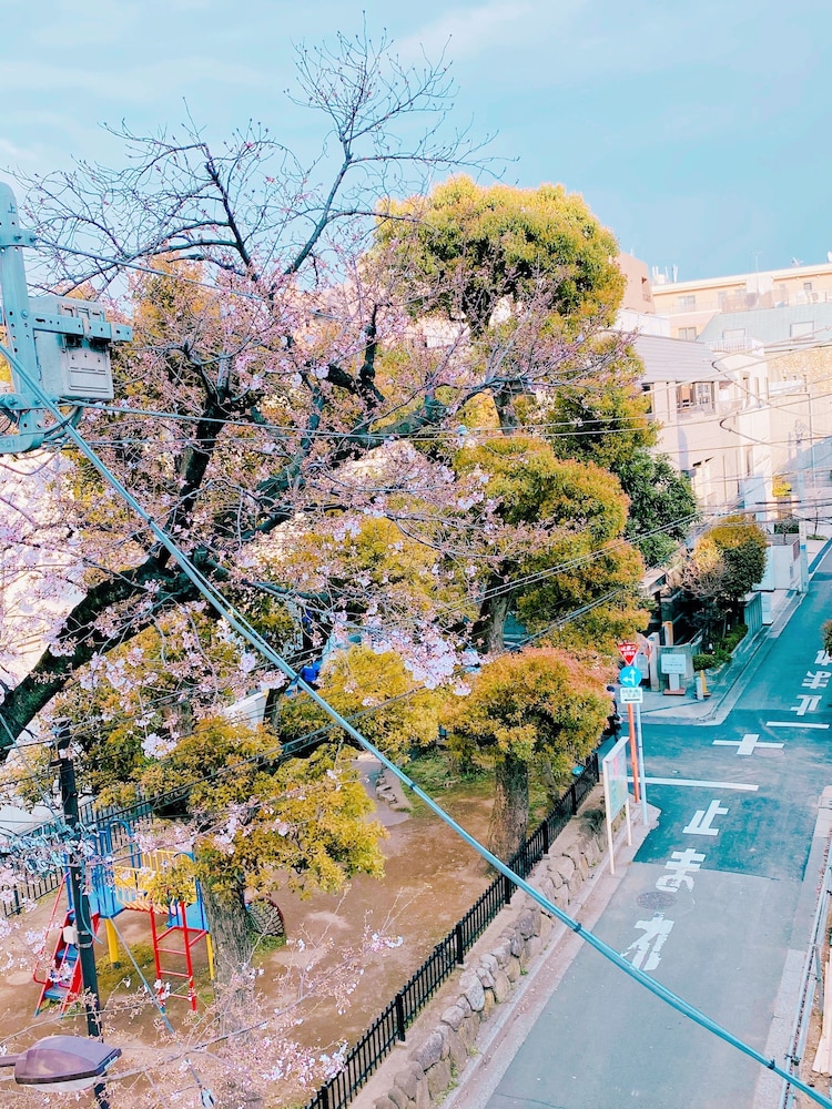 KAIKE SENDAGAYA 東京