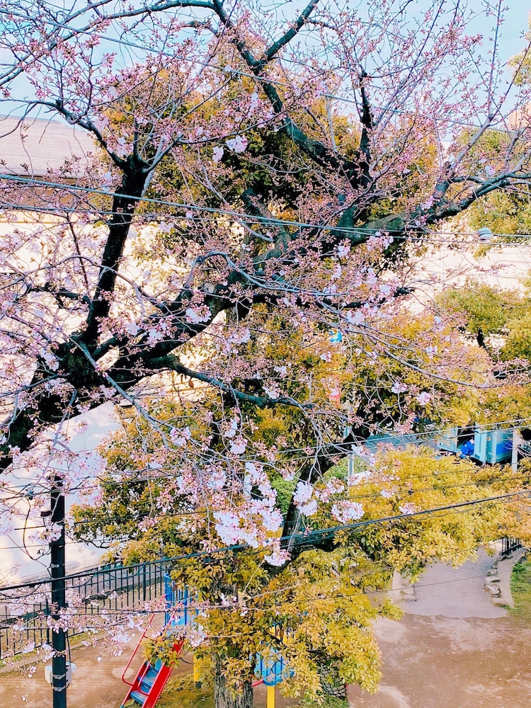 KAIKE SENDAGAYA 東京
