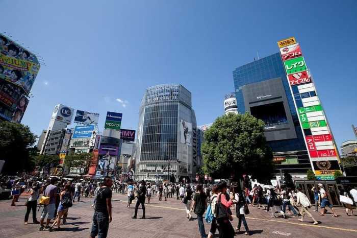 奥渋レジデンス 103 東京