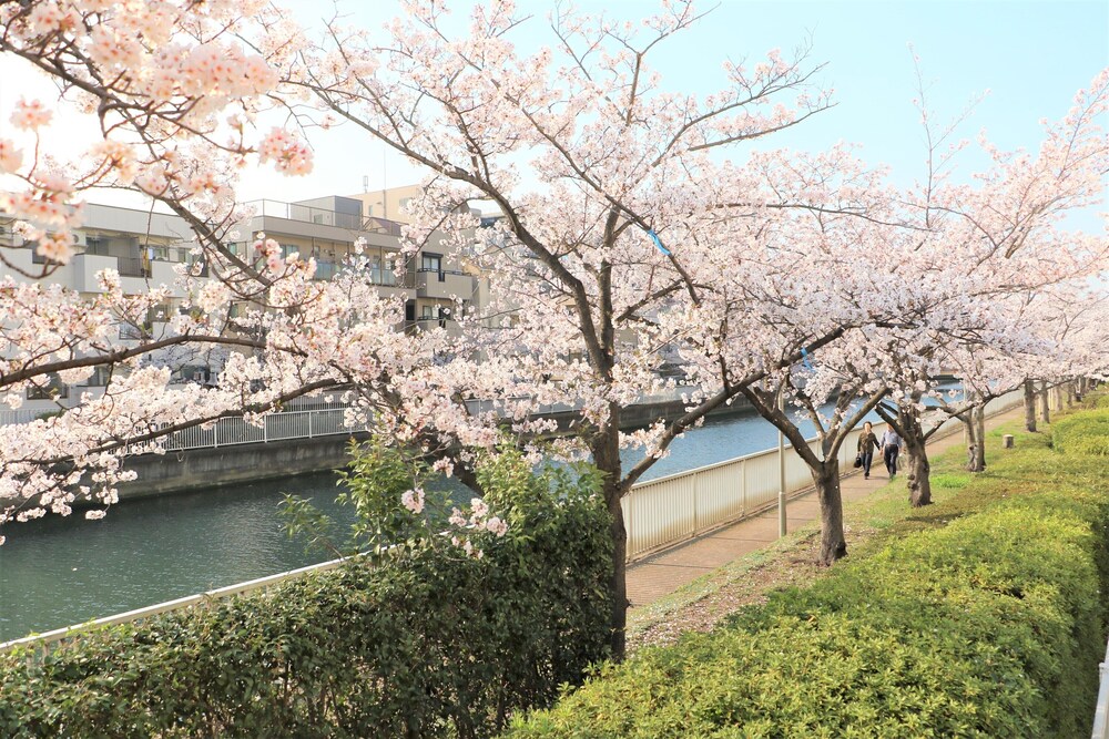 KIBA RIVERSIDE MINI HOTEL 東京