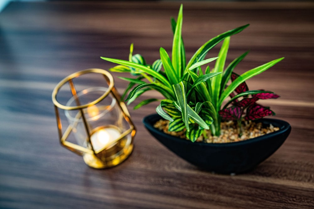 HOTEL ATELIER TOKYO 東京