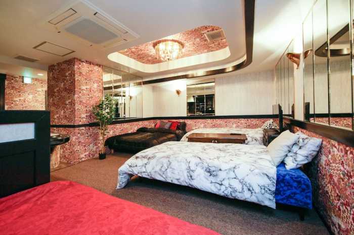 UENO TS SHINOBAZU HOTEL 6A 東京