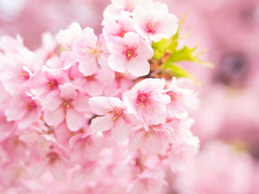 アパホテル〈赤坂見附〉 東京