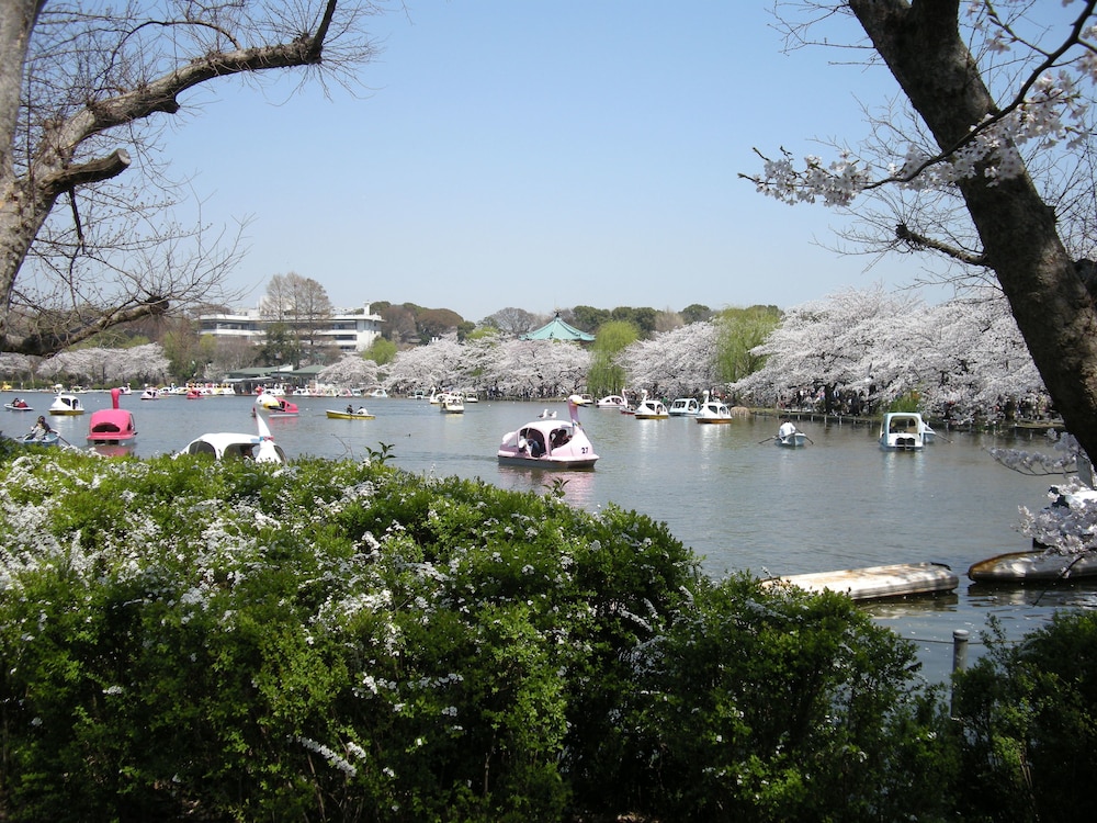 上野ターミナルホテル 東京