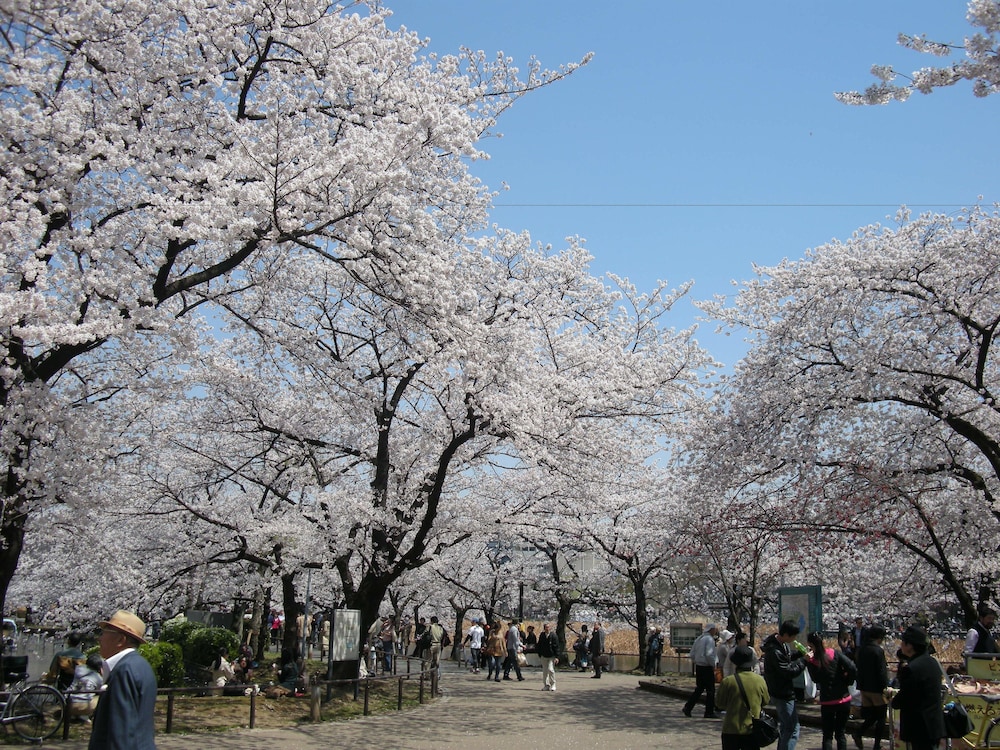 上野ターミナルホテル 東京