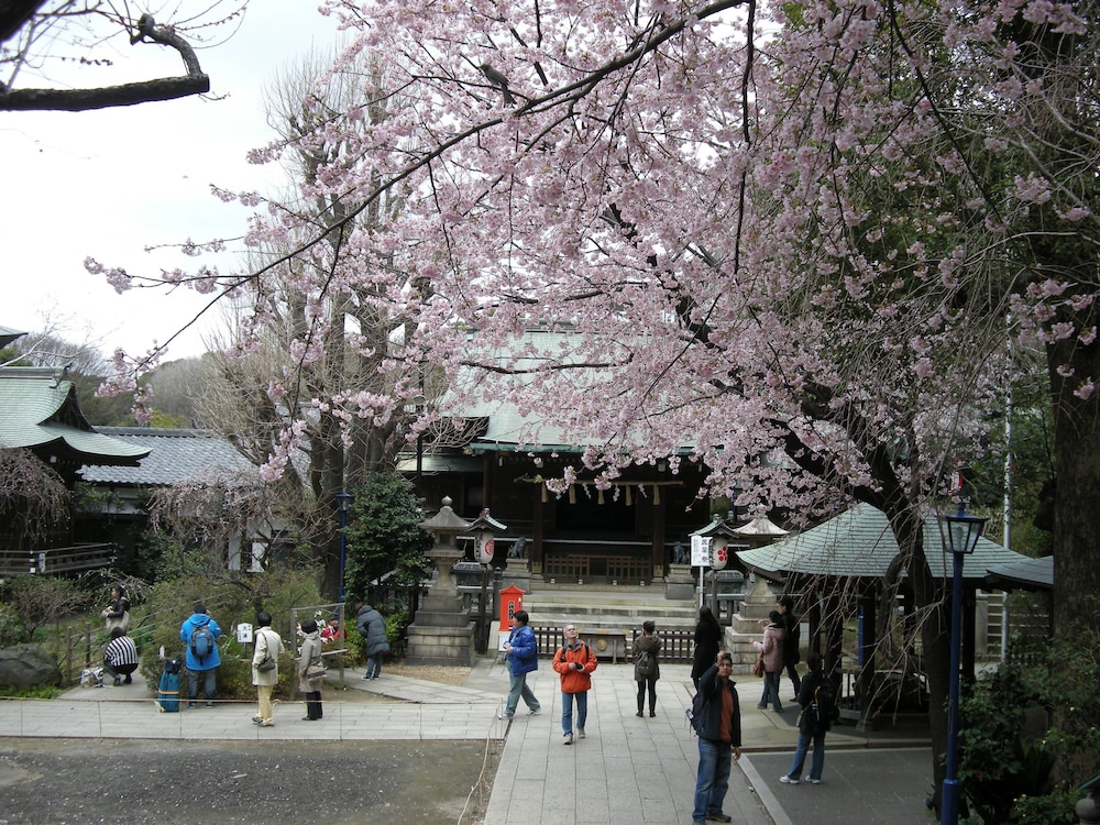 上野ターミナルホテル 東京