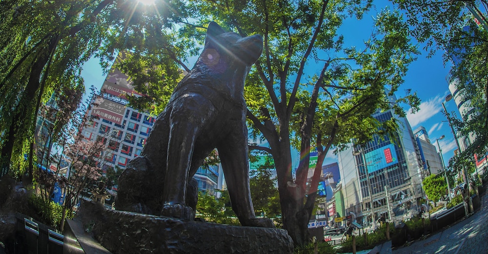 渋谷クレストンホテル 東京