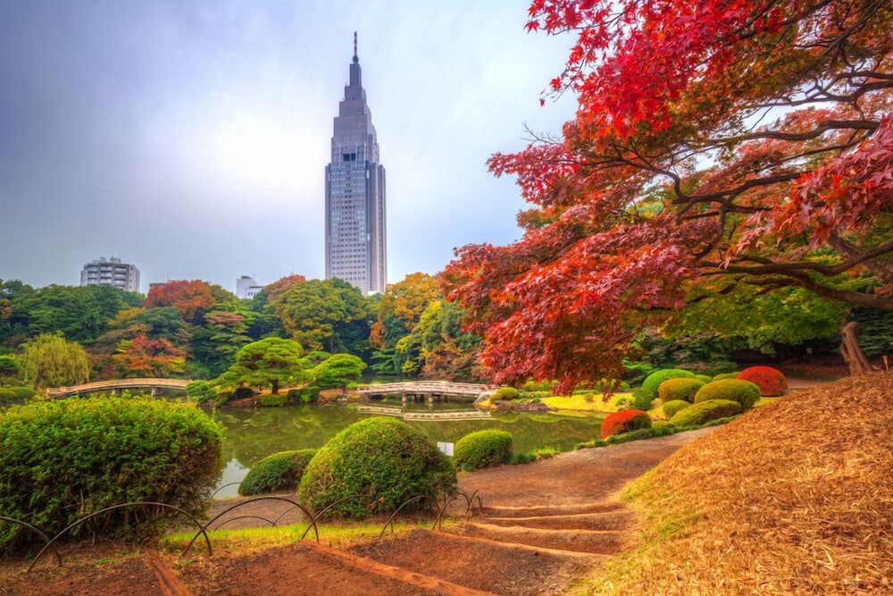 BAMBOO GARDEN 東京 - アダルト オンリー 東京