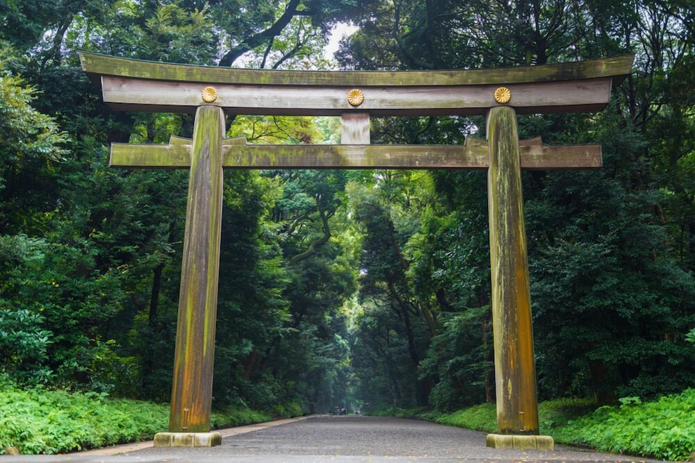 BAMBOO GARDEN 東京 - アダルト オンリー 東京