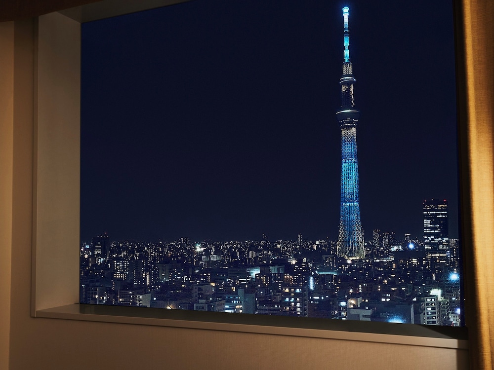 ロッテシティホテル錦糸町 東京