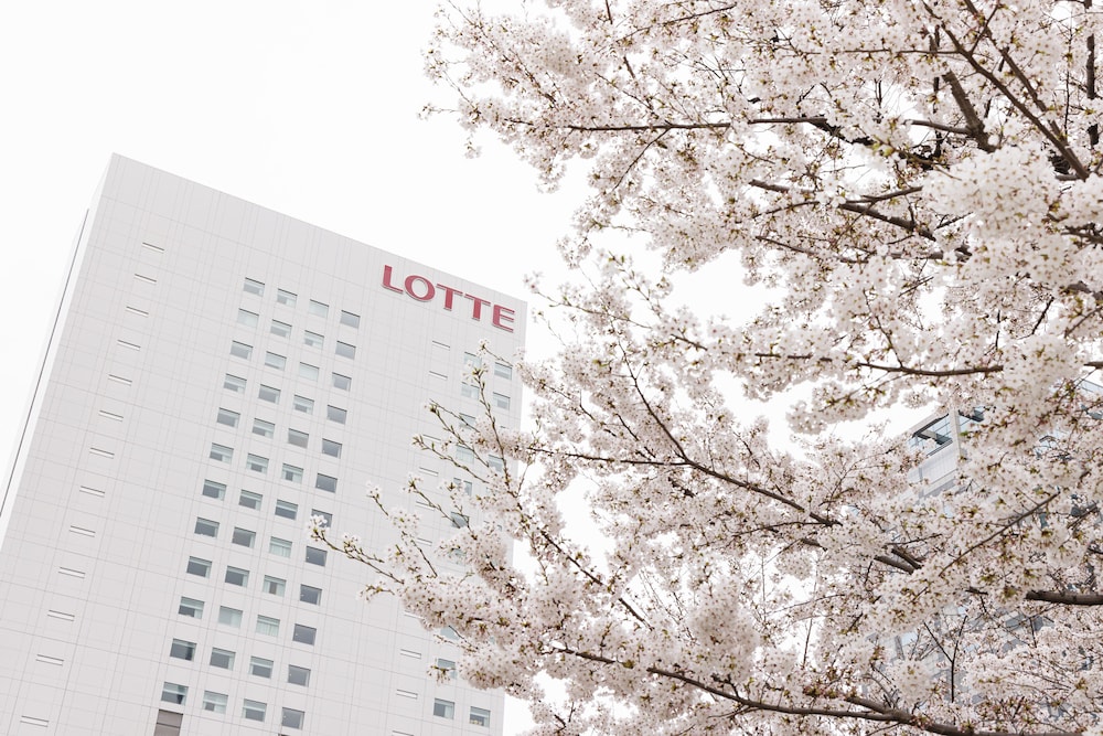 ロッテシティホテル錦糸町 東京