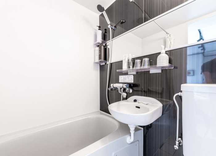 B2 PERFECT PLACE WITH LUX FLAT SHINJUKU 東京