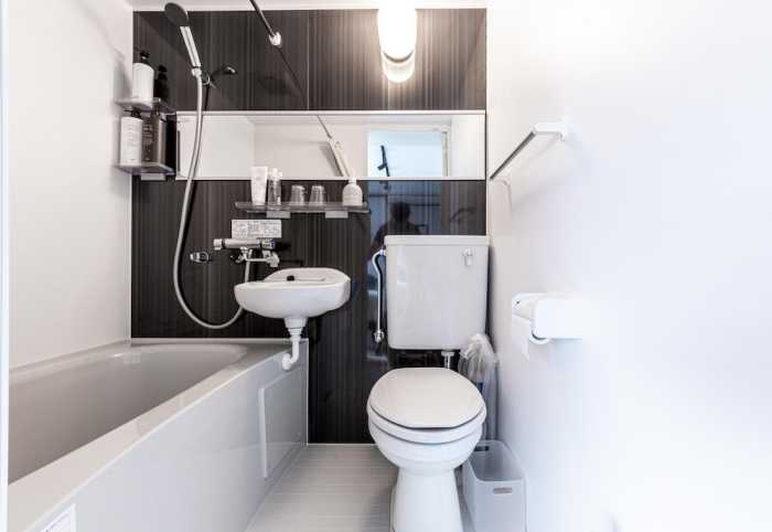 B2 PERFECT PLACE WITH LUX FLAT SHINJUKU 東京