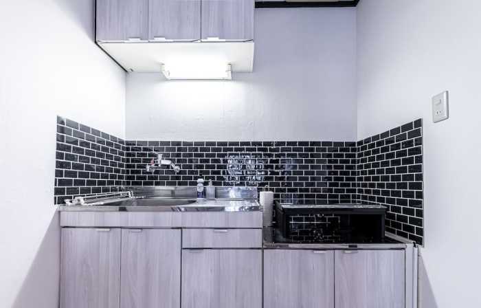 B2 PERFECT PLACE WITH LUX FLAT SHINJUKU 東京
