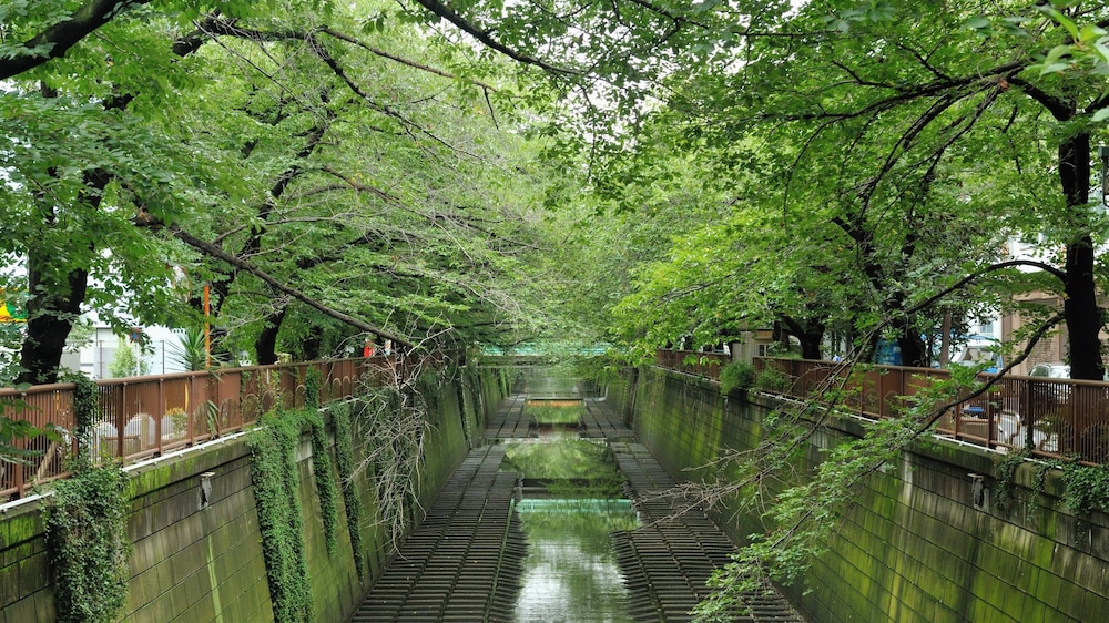 ドーミーインEXPRESS目黒青葉台 東京