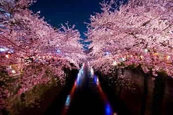 ホテルサーブ渋谷 東京