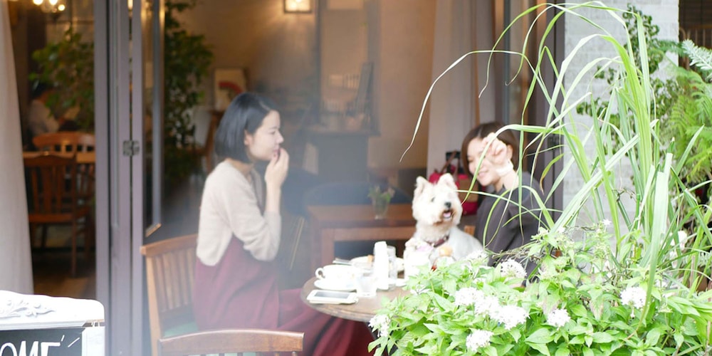 7 ROOMS HOTEL & CAFE 東京