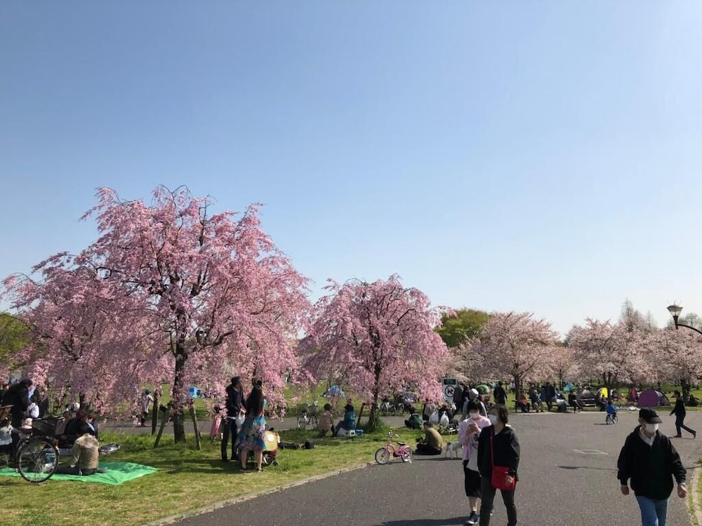 東京舎人ガーデンハウスステイ 東京