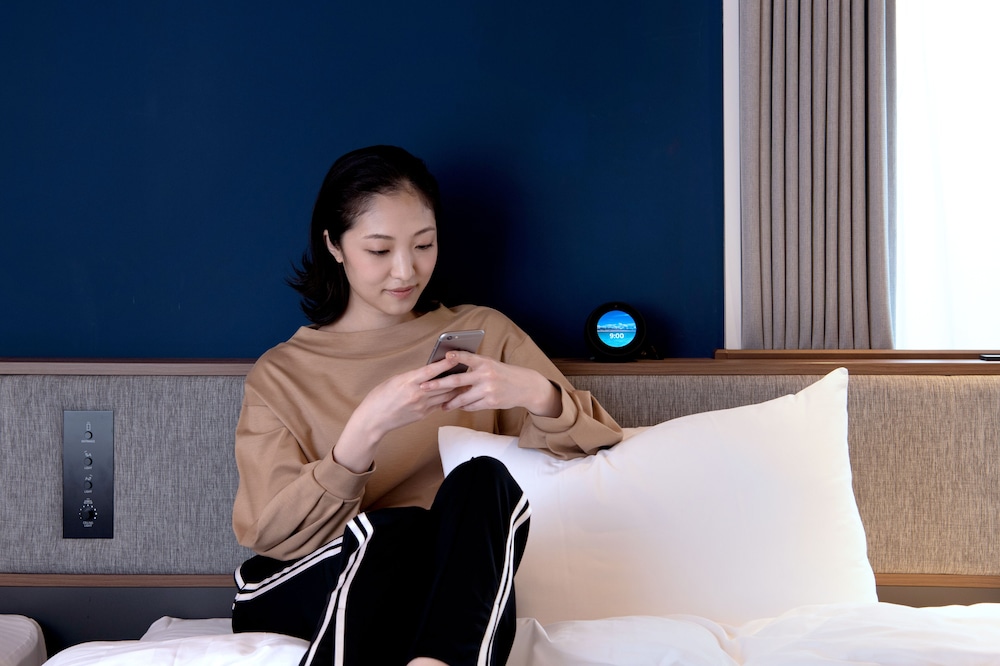 プリンス スマート イン 恵比寿 東京