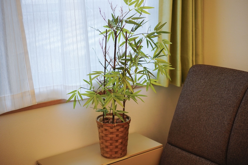 EOS HOTEL AKABANE 203 東京