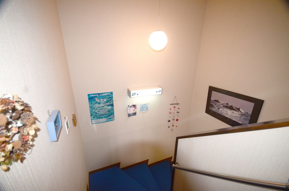 三宅島スナッパー 東京