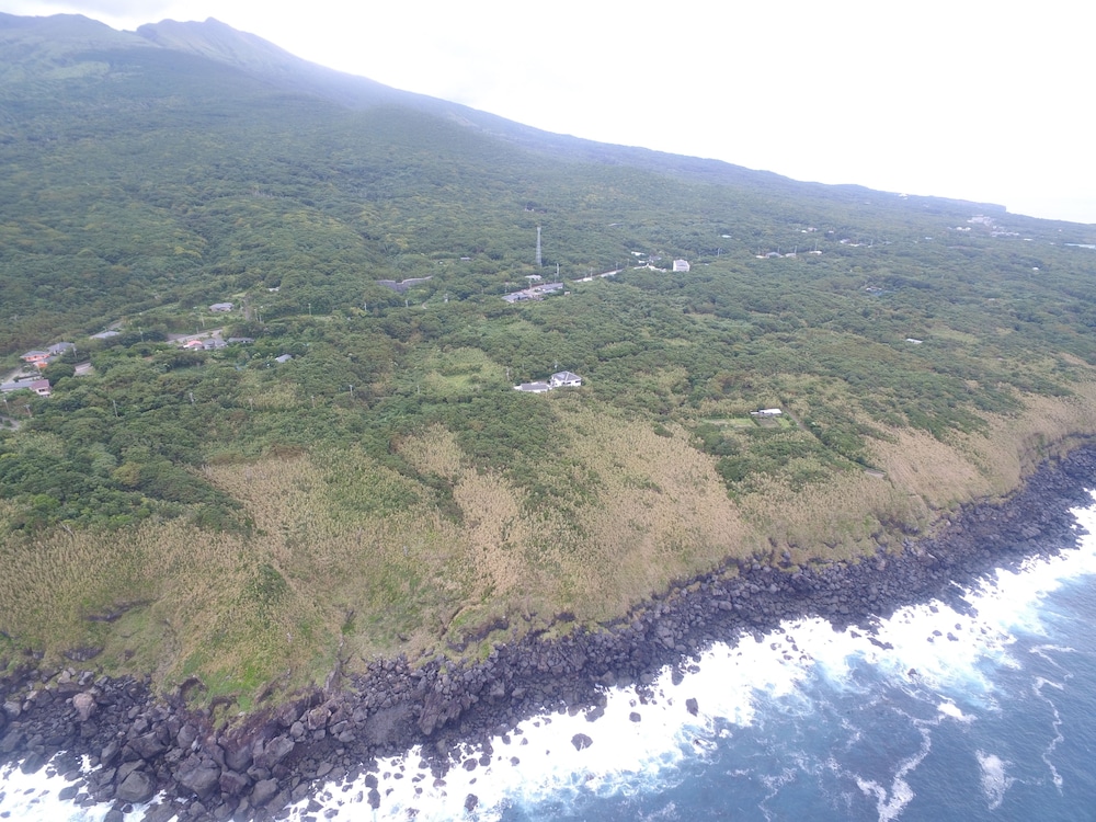 三宅島スナッパー 東京