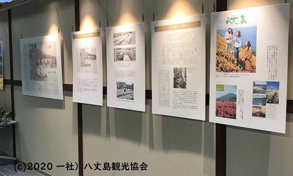 国民宿舎 サンマリーナ 東京