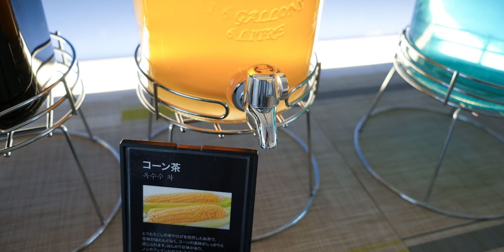 レンブラントキャビン新宿新大久保 東京