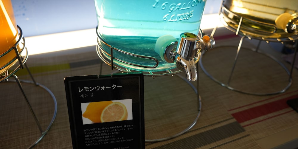 レンブラントキャビン新宿新大久保 東京
