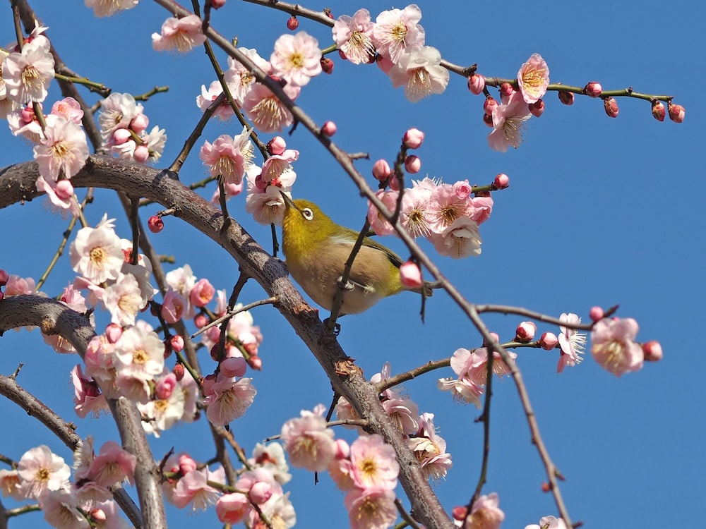 アパホテル〈浅草雷門南〉 東京