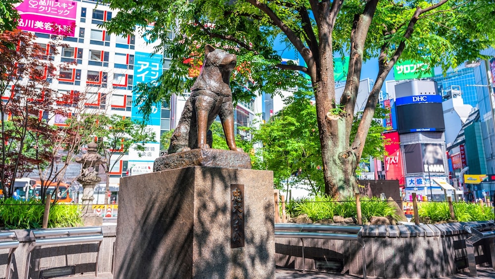 ALL DAY PLACE SHIBUYA 東京