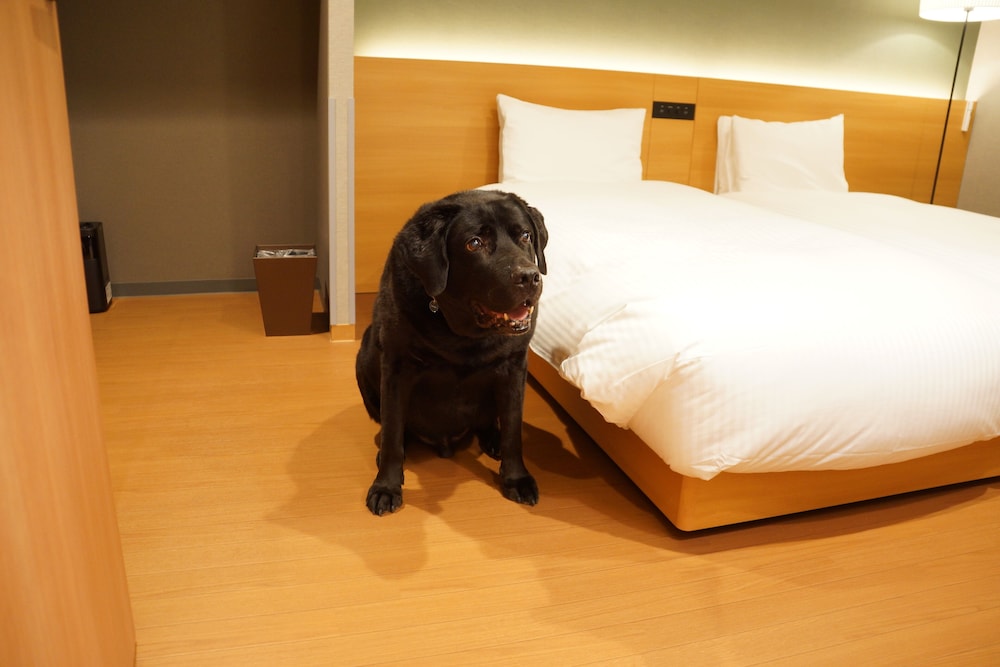 MIMARU SUITES 東京浅草 東京