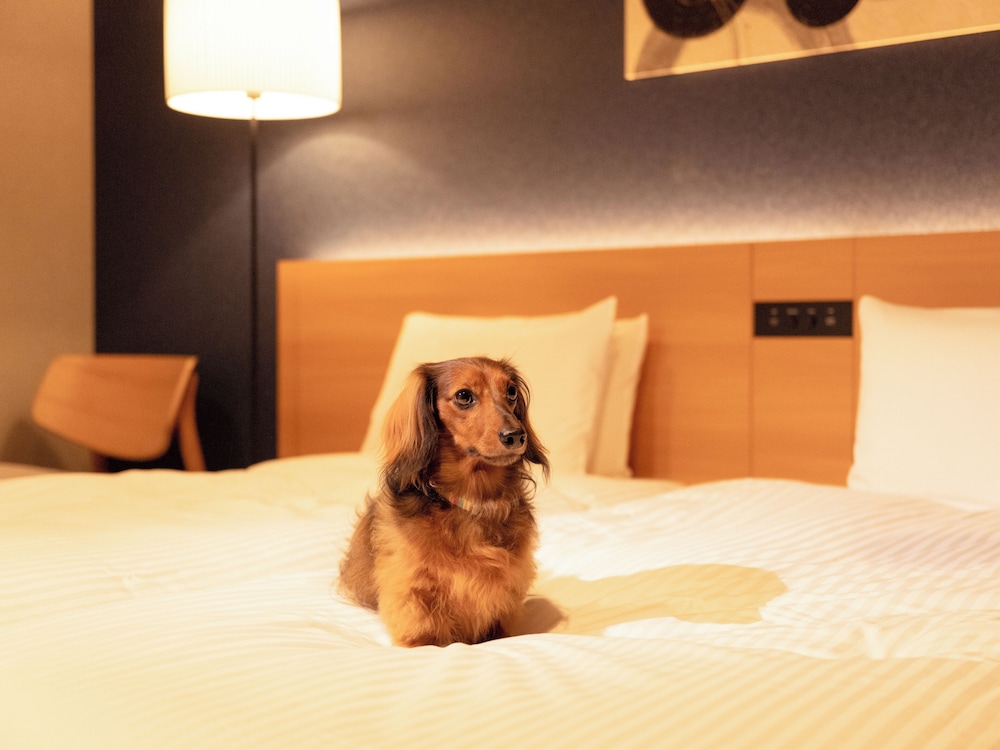 MIMARU SUITES 東京浅草 東京