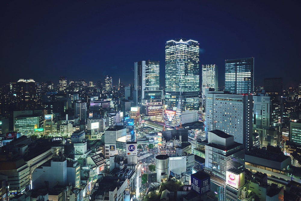 ホテルインディゴ東京渋谷 BY IHG 東京