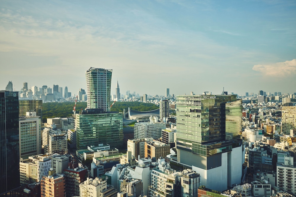ホテルインディゴ東京渋谷 BY IHG 東京