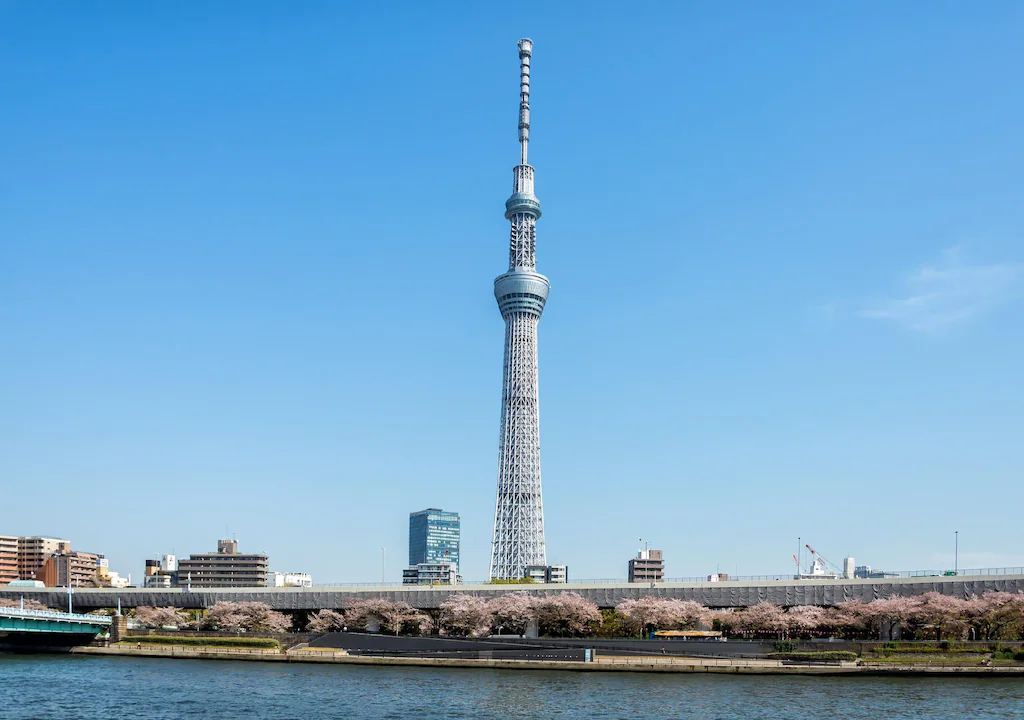 Tokyo inn 桜庵 東京