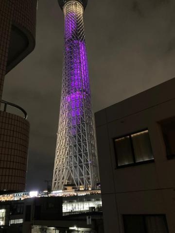 Sky Tree INN Ⅱ（晴樹宿Ⅱ） 東京