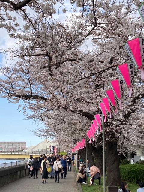 Sky Tree INN Ⅱ（晴樹宿Ⅱ） 東京