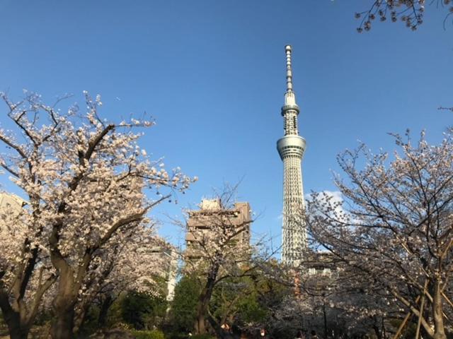 Sky Tree INN Ⅱ（晴樹宿Ⅱ） 東京