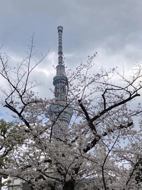 Sky Tree INN Ⅱ（晴樹宿Ⅱ） 東京